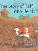 The True Story of Teff: in English and Amharic